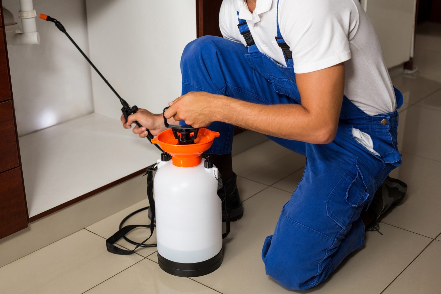 Best Pest Control Company in Boulder County Boulder Pest Control