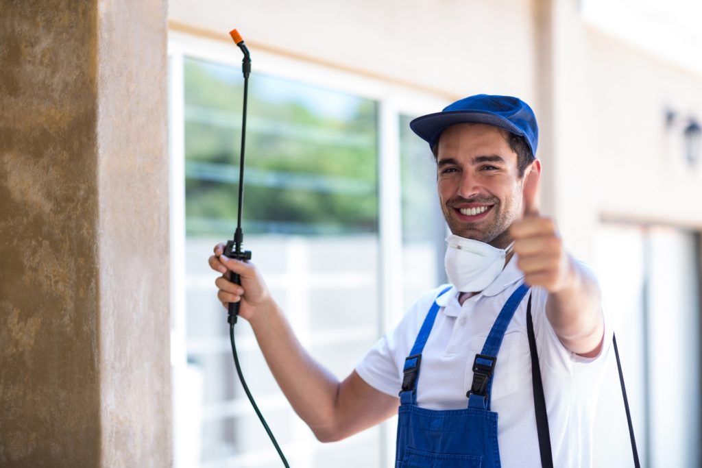professional pest removal company boulder co