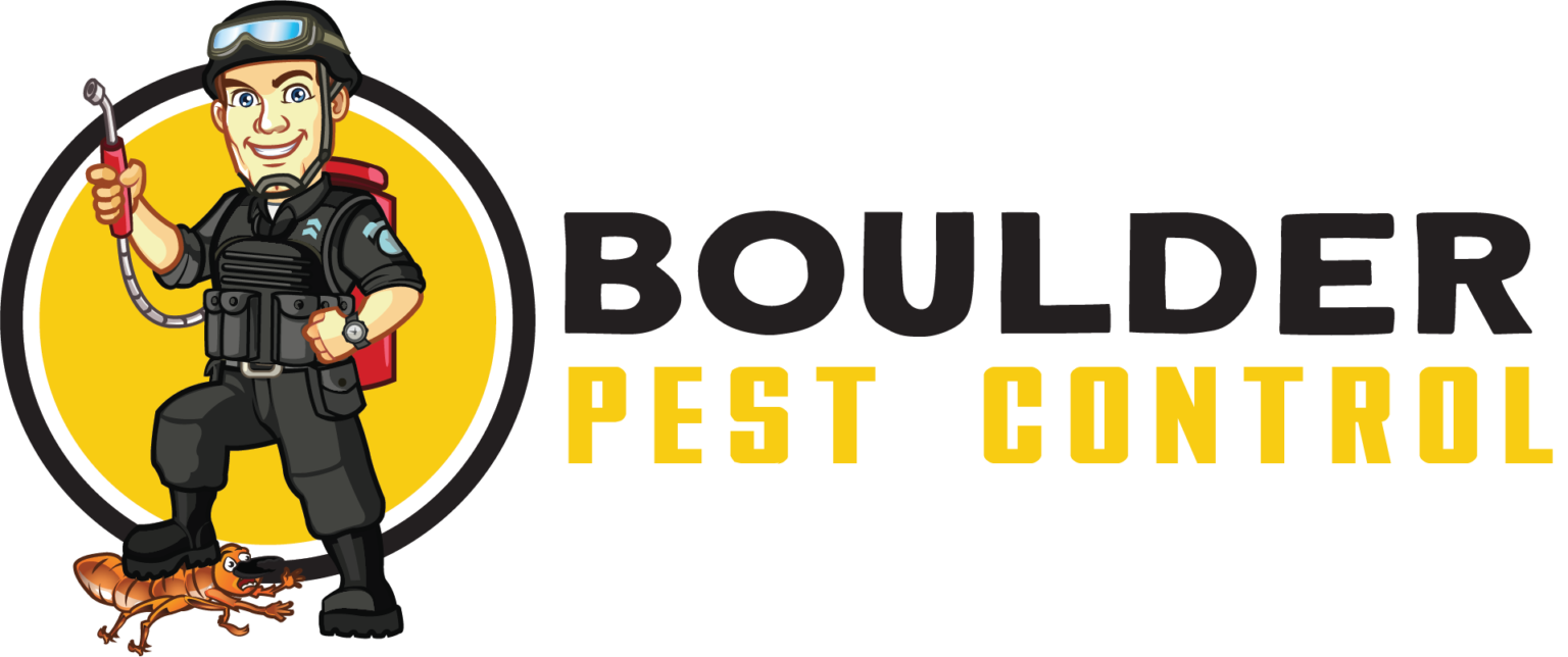 Best Pest Control Company in Boulder County Boulder Pest Control