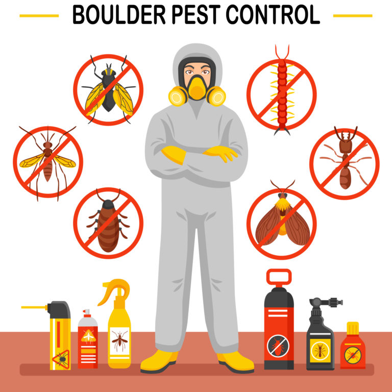 boulder pest control infographic