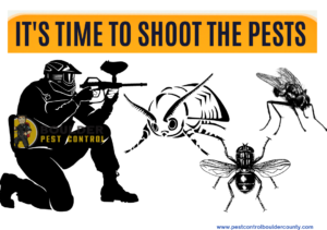 Shoot the pests with Pest Control Services in Boulder County